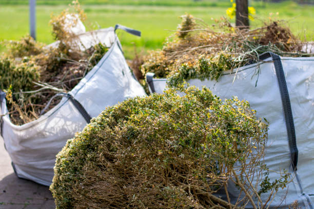 Professional Junk Removal in Caledonia, MS
